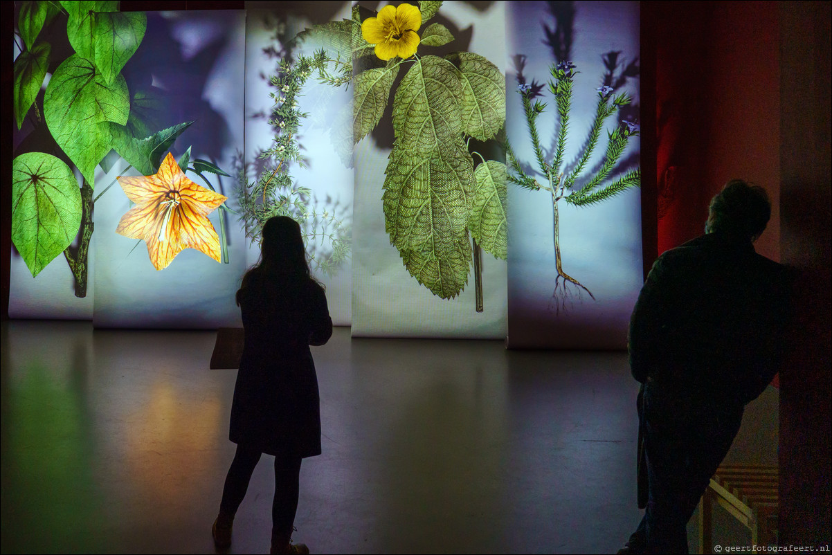 Centraal Museum Utrecht - de Botanische revolutie